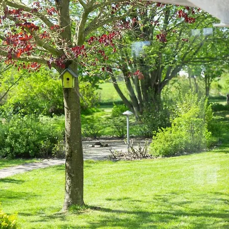 Gast@marschland Reußenköge